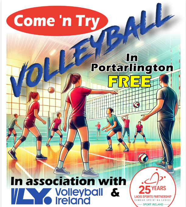Volleyball Poster information in event details